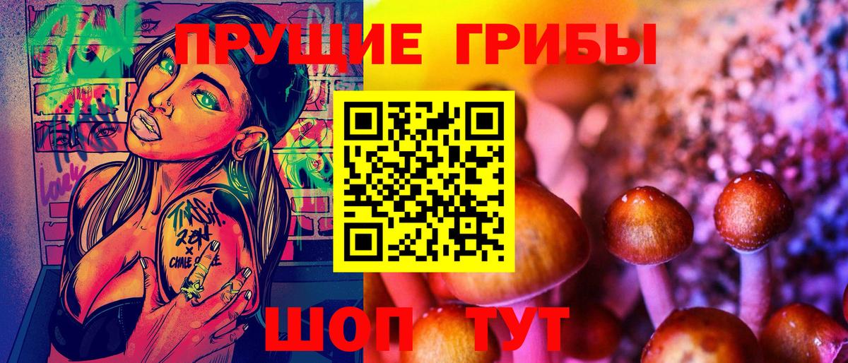 Псилоцибиновые грибы мицелий  Вход с VPN  Дмитров 